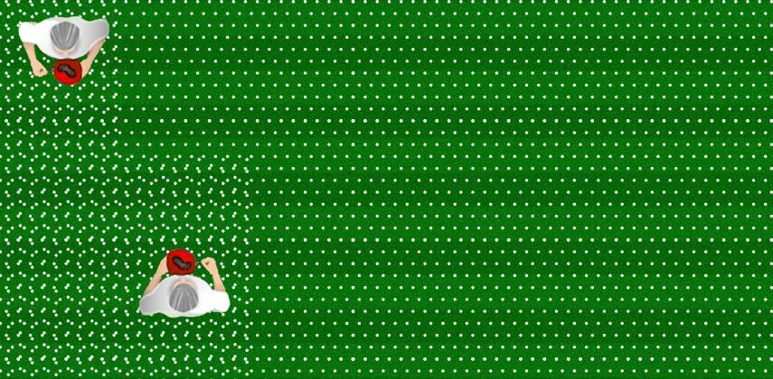 cross feeding your lawn step 2