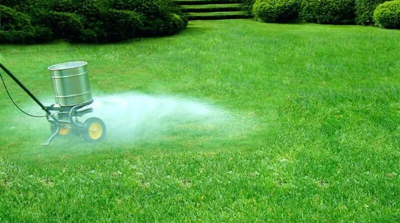 lawn sand
